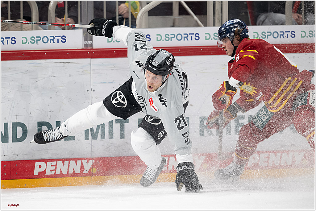 PENNY DEL 1; Düsseldorfer EG - Kölner Haie; Düsseldorf, 24.01.2025